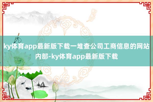 ky體育app最新版下載一堆查公司工商信息的網站內部-ky體育app最新版下載